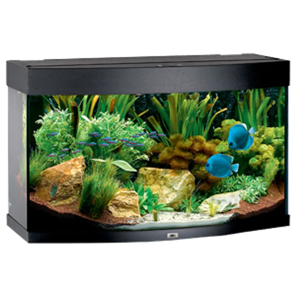 Juwel Aquarium VISION 180 Sort